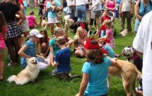 Photo of the Put-in-Bay Pooch parade